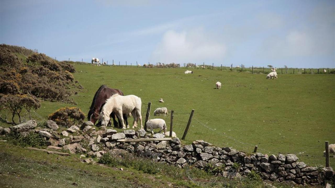 Villa Glebe Farm à Rhossili Extérieur photo